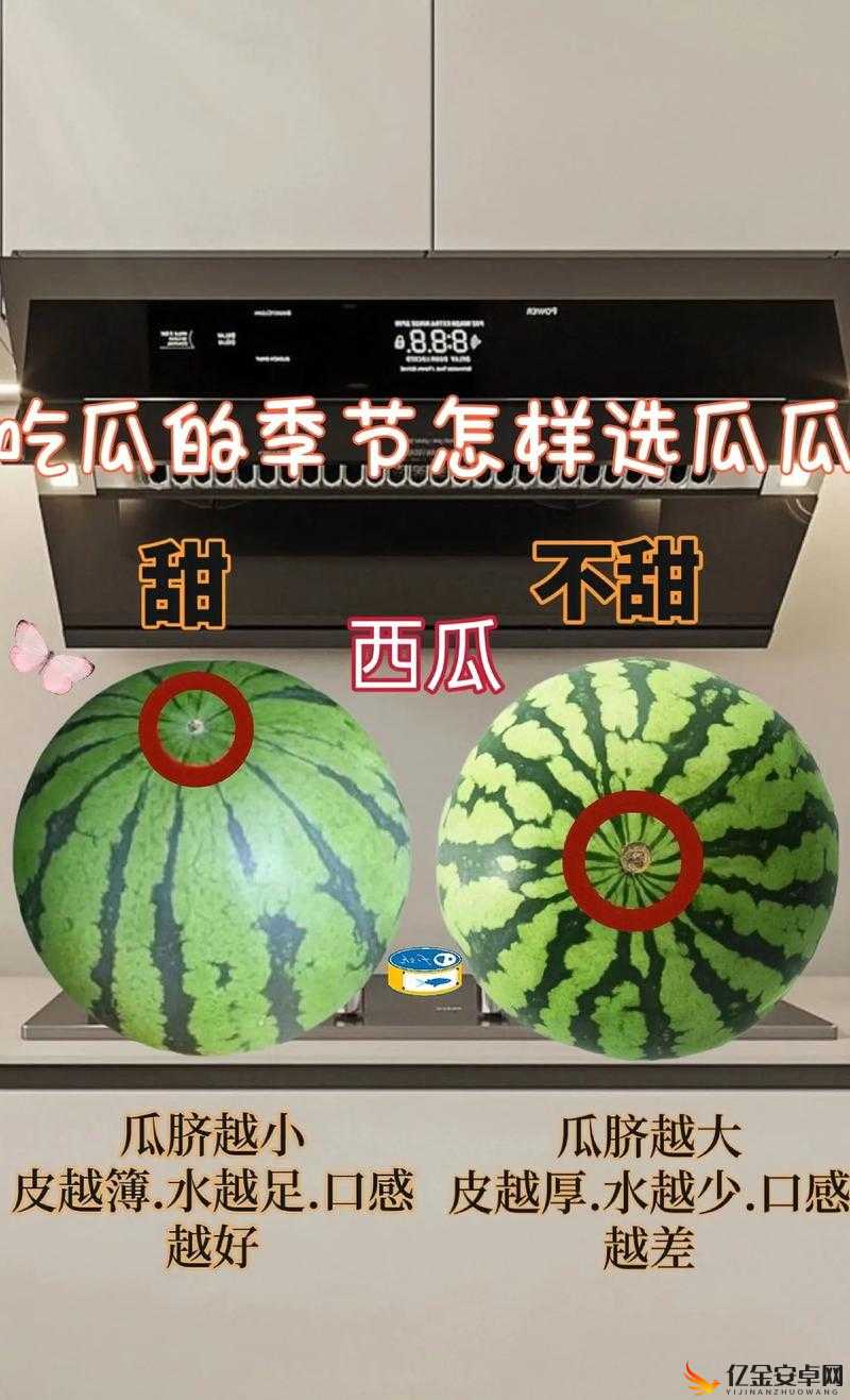 五一吃瓜今日吃瓜热门大瓜：关于各种瓜的详细分析与探讨