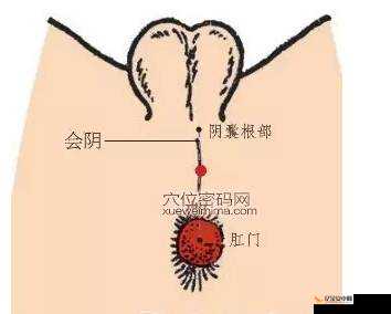 探索 9 浅一深左 3 右 3 的真正含义：一种两性技巧的奥秘